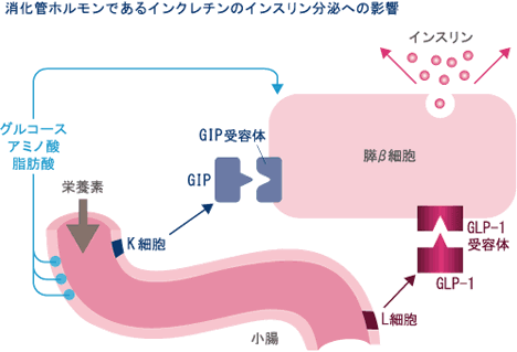 ソース画像を表示